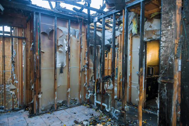Professional Smoke Damage Removal technician working in Shakopee, MN